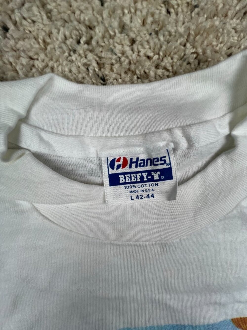 Vintage Walla Walla Homegrown T Shirt Hot Poop Records 80s Band Music Tee Large - Picture 8 of 11